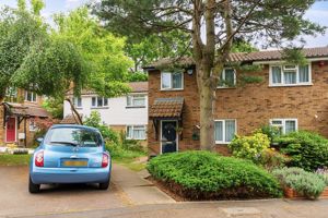 Photo 2- click for photo gallery